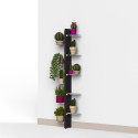 Sisätilojen seinään kiinnitettävät design-kasvipotit 10 hyllyä Zia Flora WMH Luettelo