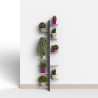 Sisätilojen seinään kiinnitettävät design-kasvipotit 10 hyllyä Zia Flora WMH Valinta