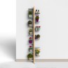 Design seinään kiinnitettävä sisäkasvien ruukkujen pidike 13 hyllyä Zia Flora WH Luettelo