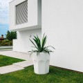 Moderni kasvi ruukku suuri lasipannu jääastia Cubalibre Tarjous