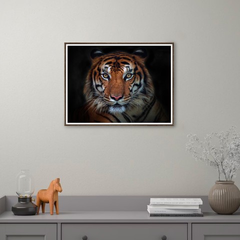 Tulosta valokuvaus kuva tiikerieläinten kehys 30x40cm Unika 0027