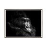 Tulosta valokuva gorilla kuvakehys eläimet 30x40cm Unika 0026 Myynti
