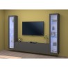 Ripustettu TV-kaappi seinäyksikkö moderni muotoilu musta 2 näyttökaappia Liv RT Alennusmyynnit