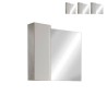Kylpyhuoneen LED-valolla varustettu peilikaappi, 1-oven pilarimalli, valkoinen-harmaa Pilar BC. Tarjous