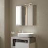 Kylpyhuoneen LED-valolla varustettu peilikaappi, 1-oven pilarimalli, valkoinen-harmaa Pilar BC. 
