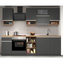 Kokonainen modulaarinen keittiö, lineaarinen suunnittelu, moderni tyyli, 256 cm Essence. 