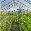 Sanus XL ulkoverhoillinen puutarhan kasvihuone polykarbonaatti 220x570-640x205h Alennukset