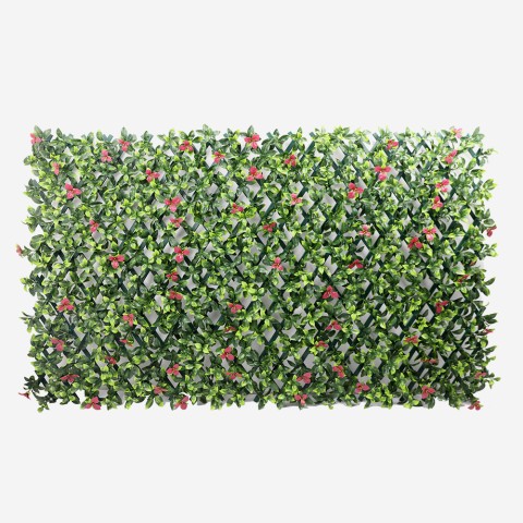 Tekkonurkkaus ulkona lehtiristikko viilettää 2x1m kasvit Salix Tarjous