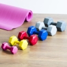 Pumax 6 kg hexagon käsipaino kuntosalille, anti-roll-muotoilu Myynti