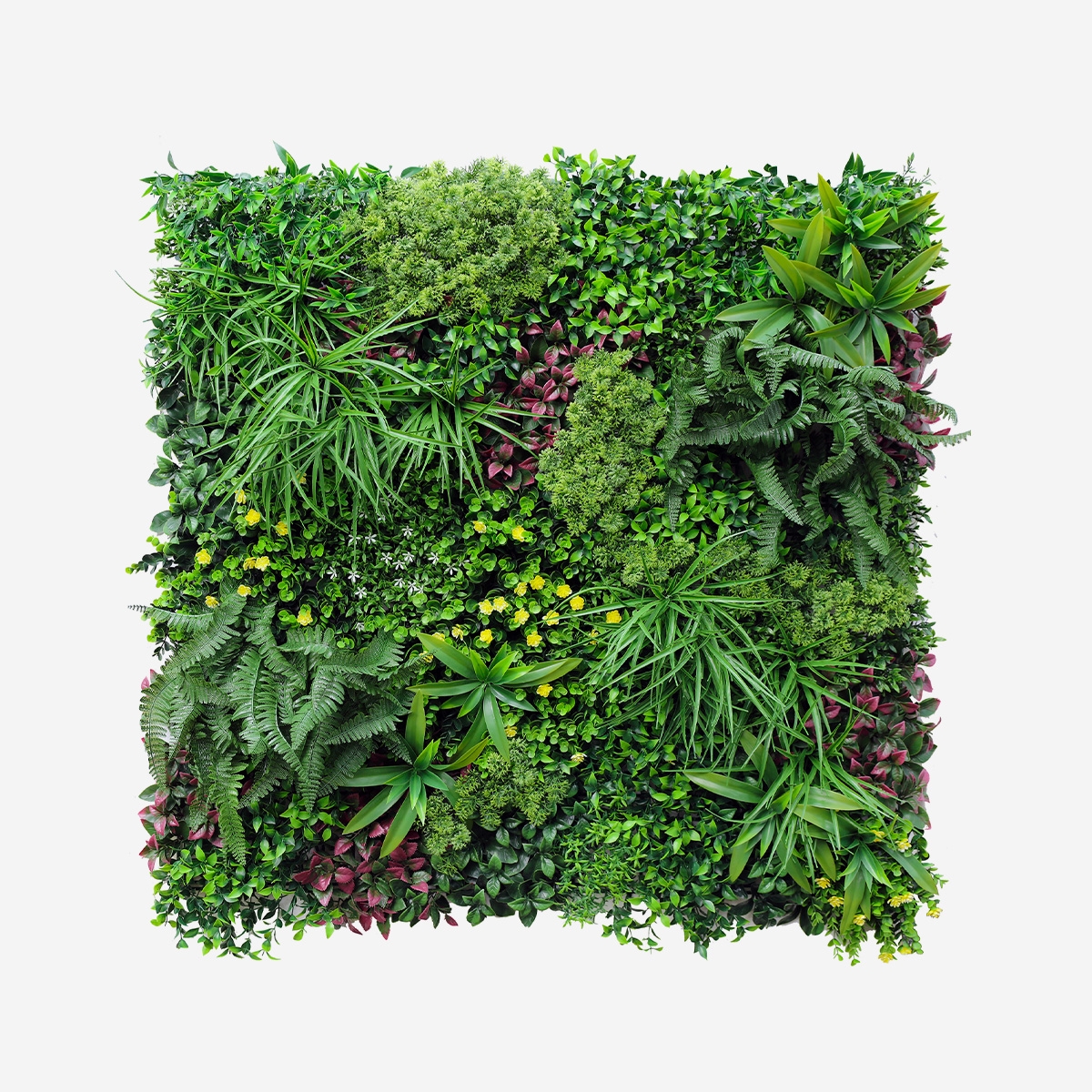 Viherseinä Ilex, 100x100 cm, muovia, aidon näköinen Tarjous