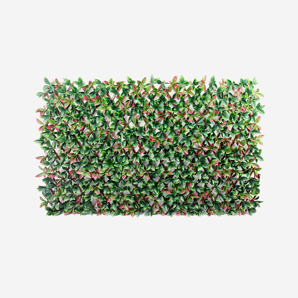 Viherseinä Ivoss, 200x100cm, muovia, aidon punamarjan näköinen Tarjous