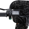 Sähköpyörä ebike naisille korilla 250W RKS XT1 Shimano Luettelo