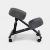 Ergonominen metallinen polvituoli Balancesteel Lux toimistoon, tekstiiliverhoilu Hankinta