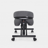 Ergonominen metallinen polvituoli Balancesteel Lux toimistoon, tekstiiliverhoilu 