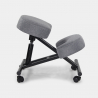 Ortopedinen tuoli ruotsalainen ergonominen kangas ja metalli jakkara Balancesteel Lux Hinta