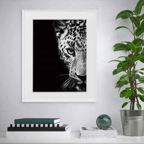 Painatus valokuvaus maalaus mustavalkoinen eläimet leopardi 40x50cm Variety Kambuku