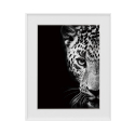 Tulosta valokuva mustavalkoinen kuva eläimet leopardi 40x50cm Variety Kambuku Myynti