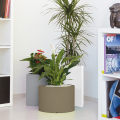 Istutinsarja design 3 värillistä ruukkua kasveille kotipuutarha Tris Petalo Tarjous