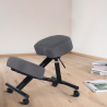 Ergonominen metallinen polvituoli Balancesteel Lux toimistoon, tekstiiliverhoilu Luettelo
